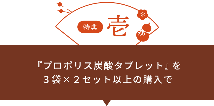 特典 壱 『プロポリス炭酸タブレット』を３袋×２セット以上の購入で撤下品の『プロポリス炭酸タブレット』を1袋プレゼント！