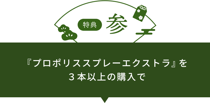 特典 参 『プロポリススプレーエクストラ』を３本以上の購入で撤下品の『プロポリスキャンディープレミアムゴールド』を1本プレゼント！