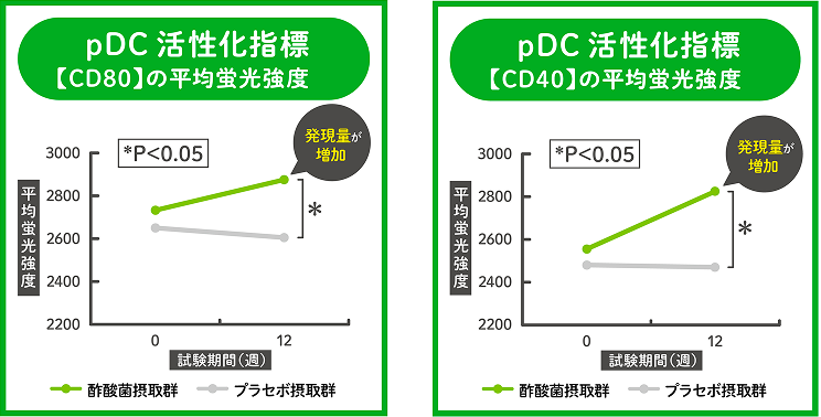 酢酸菌摂取者と非摂取者(プラセボ摂取群)のpDC活性指数の推移