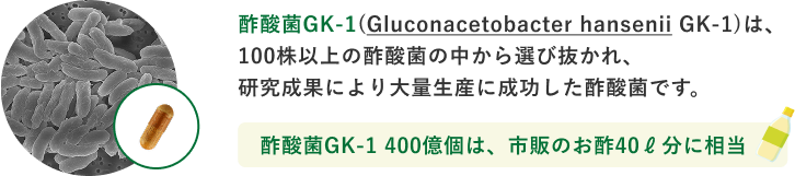 酢酸菌GK-1(Gluconacetobacter hansenii GK-1)は、100株以上の酢酸菌の中から選び抜かれ、研究成果により大量生産に成功した酢酸菌です。酢酸菌GK-1 400億個は、市販のお酢40ℓ分に相当
