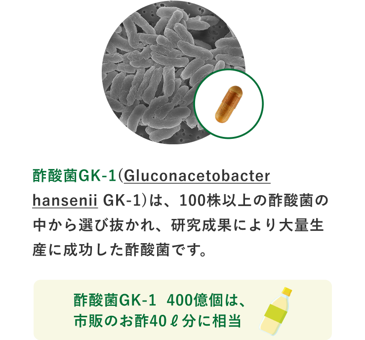 酢酸菌GK-1(Gluconacetobacter hansenii GK-1)は、100株以上の酢酸菌の中から選び抜かれ、研究成果により大量生産に成功した酢酸菌です。酢酸菌GK-1 400億個は、市販のお酢40ℓ分に相当