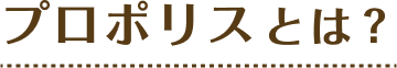 プロポリスとは？