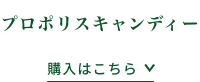 プロポリスキャンディー