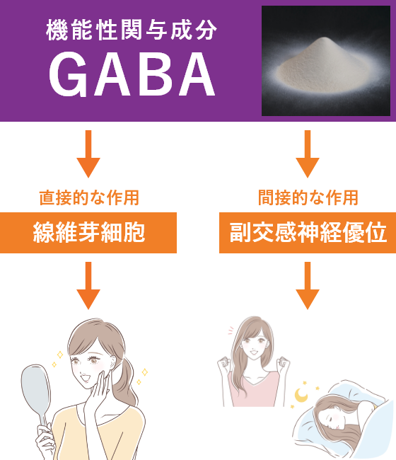 GABA（ギャバ）【γ-アミノ酪酸】とは？