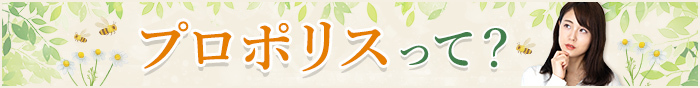 プロポリスとは
